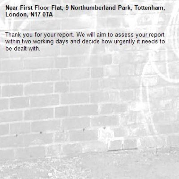 Thank you for your report. We will aim to assess your report within two working days and decide how urgently it needs to be dealt with.-First Floor Flat, 9 Northumberland Park, Tottenham, London, N17 0TA