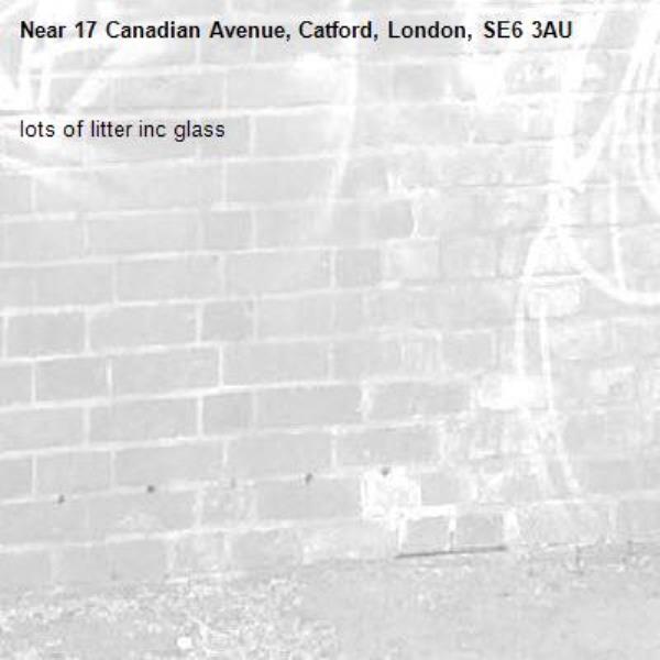 lots of litter inc glass-17 Canadian Avenue, Catford, London, SE6 3AU