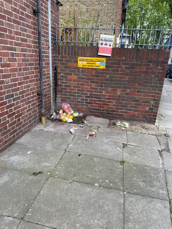 Dumped items and bird mess-136 Geere Road, Stratford, London, E15 3PW