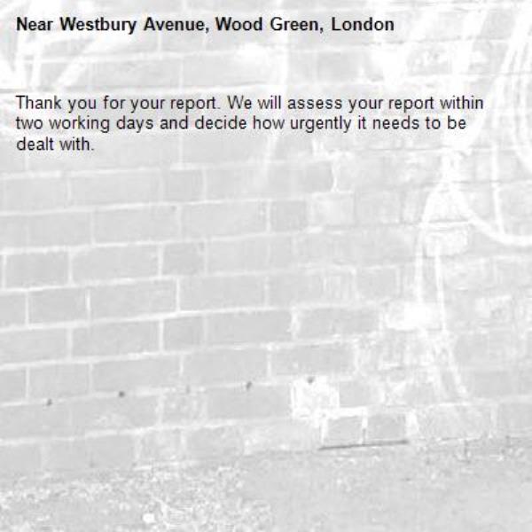 Thank you for your report. We will assess your report within two working days and decide how urgently it needs to be dealt with.-Westbury Avenue, Wood Green, London