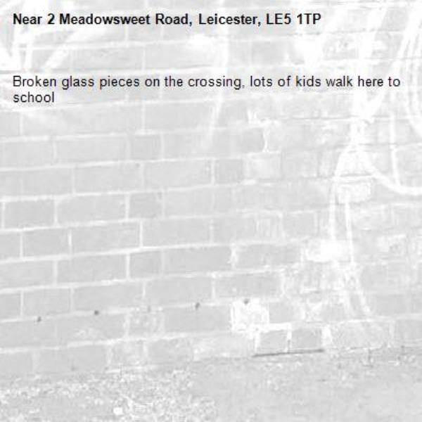 Broken glass pieces on the crossing, lots of kids walk here to school -2 Meadowsweet Road, Leicester, LE5 1TP