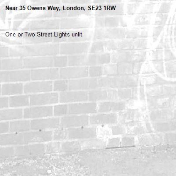 One or Two Street Lights unlit-35 Owens Way, London, SE23 1RW