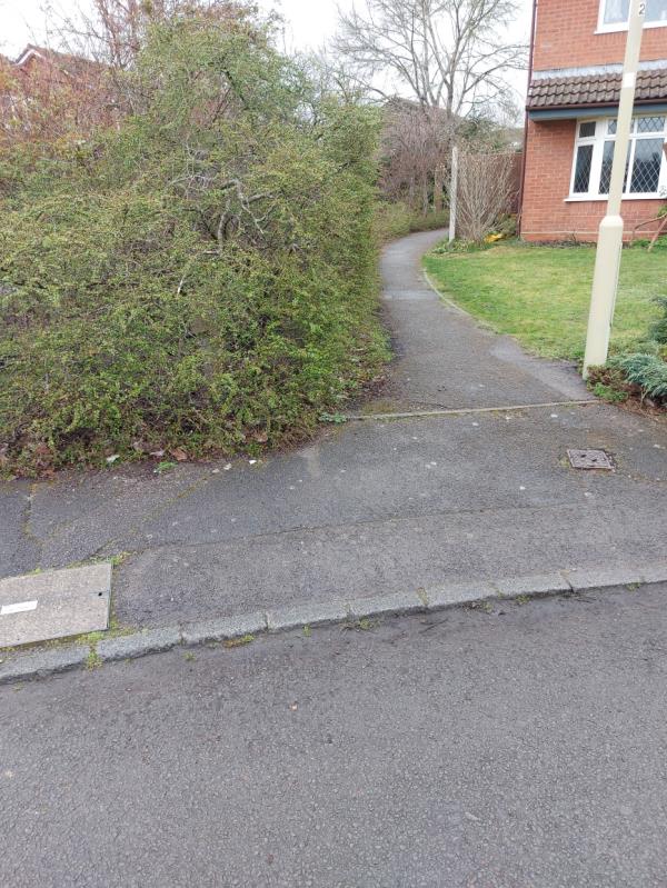 Hedge now overgrown path by half restricting access. -Rushmoor Borough Council, The Southwood Community Centre, 8 Southwood Village Centre, Links Way, Farnborough, GU14 0NA