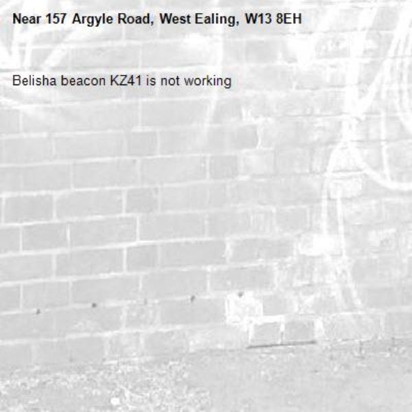 Belisha beacon KZ41 is not working -157 Argyle Road, West Ealing, W13 8EH