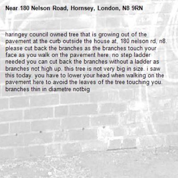 haringey council owned tree that is growing out of the pavement at the curb outside the house at, 180 nelson rd, n8. please cut back the branches as the branches touch your face as you walk on the pavement here. no step ladder needed you can cut back the branches without a ladder as branches not high up. this tree is not very big in size. i saw this today. you have to lower your head when walking on the pavement here to avoid the leaves of the tree touching you. branches thin in diametre notbig-180 Nelson Road, Hornsey, London, N8 9RN
