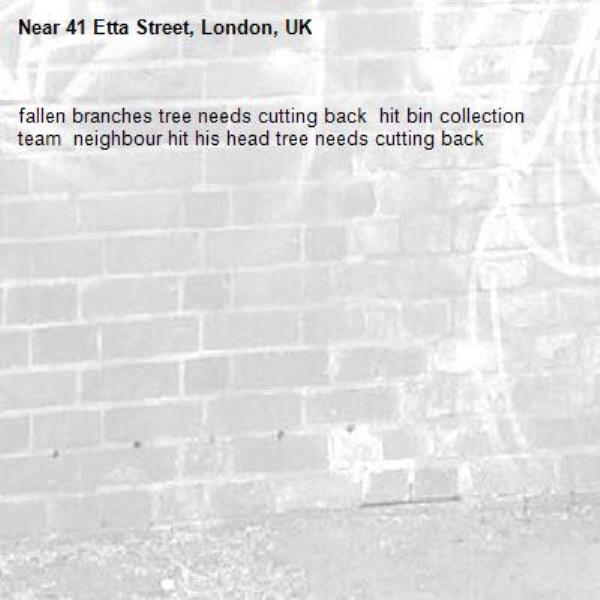fallen branches tree needs cutting back  hit bin collection team  neighbour hit his head tree needs cutting back-41 Etta Street, London, UK