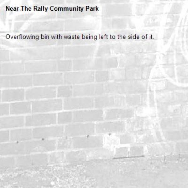 Overflowing bin with waste being left to the side of it.-The Rally Community Park