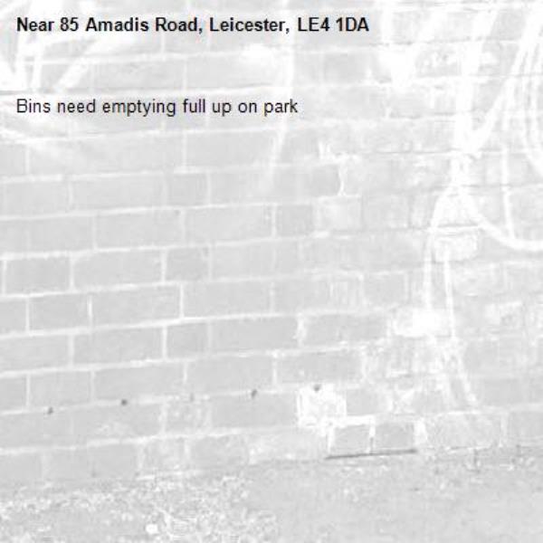 Bins need emptying full up on park -85 Amadis Road, Leicester, LE4 1DA