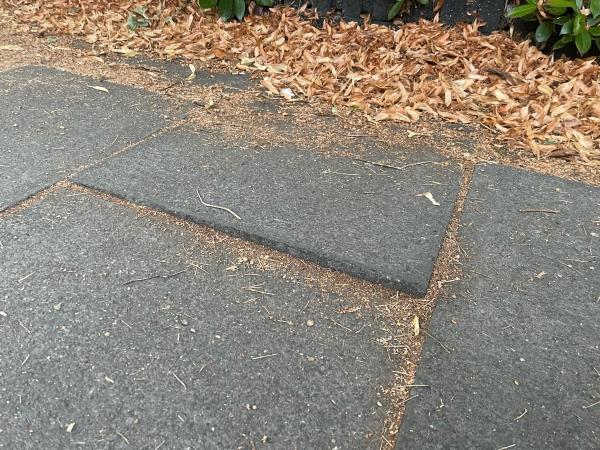 I nearly tripped and twisted my ankle on this pavement stone jutting out -15 Westcotes Drive, Leicester, LE3 0QT