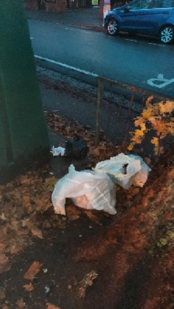 bags of rubbish beside bottle banks-94 Cranbury Road, Reading, RG30 2EG
