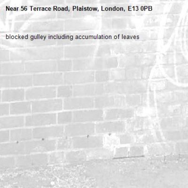 blocked gulley including accumulation of leaves -56 Terrace Road, Plaistow, London, E13 0PB