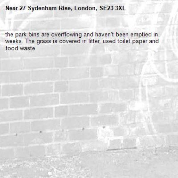 the park bins are overflowing and haven’t been emptied in weeks. The grass is covered in litter, used toilet paper and food waste-27 Sydenham Rise, London, SE23 3XL
