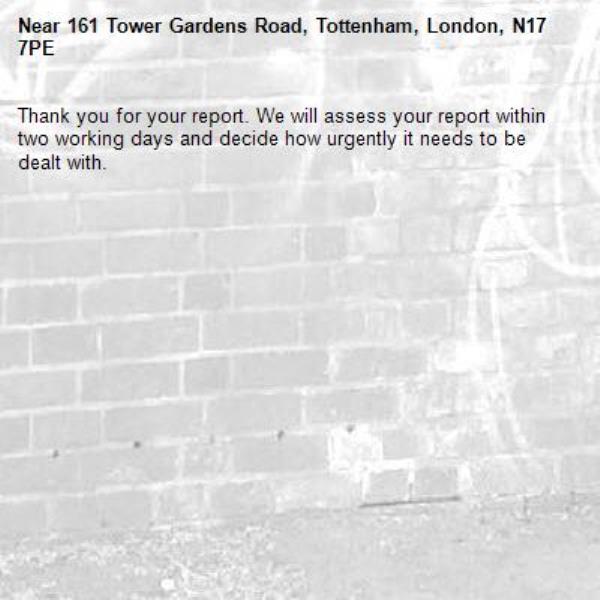 Thank you for your report. We will assess your report within two working days and decide how urgently it needs to be dealt with.-161 Tower Gardens Road, Tottenham, London, N17 7PE