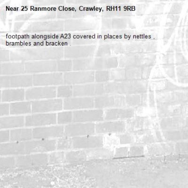 footpath alongside A23 covered in places by nettles , brambles and bracken .-25 Ranmore Close, Crawley, RH11 9RB