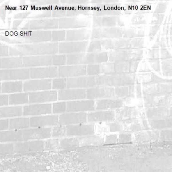 DOG SHIT-127 Muswell Avenue, Hornsey, London, N10 2EN