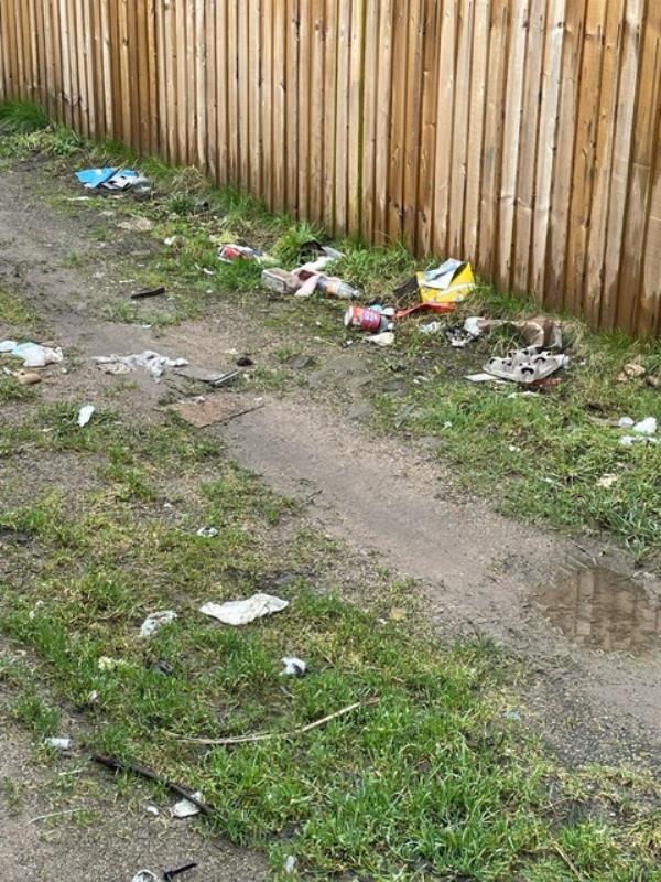 
I reported an environmental health issue on the 1-2-24. I was told that the street would be cleared in 48hrs. Please can you provide an update as it has been significantly longer than 48hrs. Please see photos of the current levels of waste, including bio hazard, nappy’s and dog waste bags. 
Please respond asap with an action plan as your service so far has been below the agreed acceptable standards.
Please can this be cleansed. -63 Rosegrove Lane, Burnley, UK