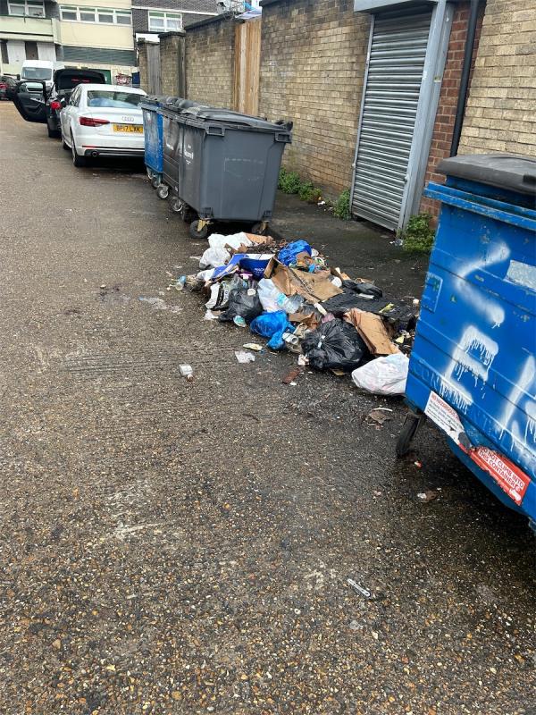 The litter  on the street  behind E13 kebabish restaurant on umbriel place .E13 not cleaned by street cleaner . I have been reporting this issue on the app since feb 2924 but no action been taken -Nebula Court, Umbriel Place, Plaistow, London, E13 0BW