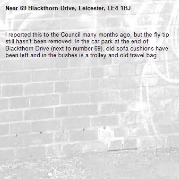 I reported this to the Council many months ago, but the fly tip still hasn't been removed. In the car park at the end of Blackthorn Drive (next to number 69), old sofa cushions have been left and in the bushes is a trolley and old travel bag.-69 Blackthorn Drive, Leicester, LE4 1BJ