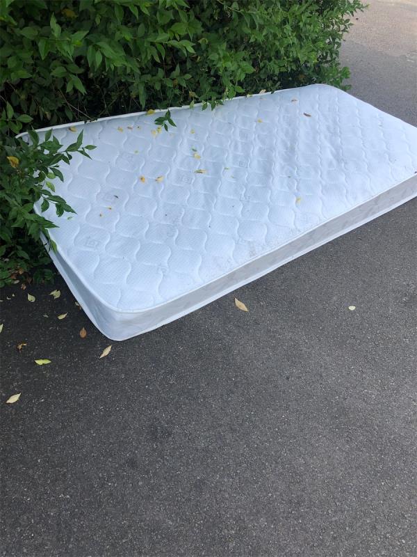 Dumped on Campshill road-38 Romborough Way, Hither Green, London, SE13 6NU