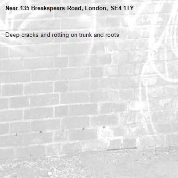 Deep cracks and rotting on trunk and roots -135 Breakspears Road, London, SE4 1TY