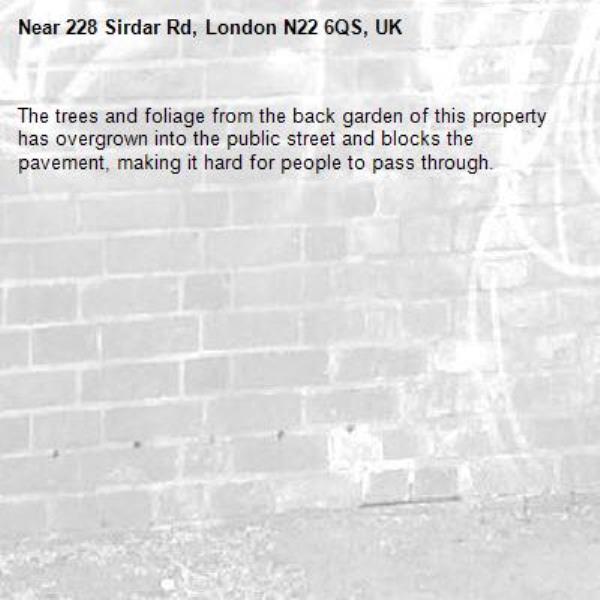 The trees and foliage from the back garden of this property has overgrown into the public street and blocks the pavement, making it hard for people to pass through.-228 Sirdar Rd, London N22 6QS, UK