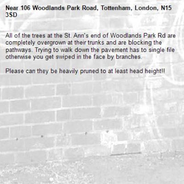 All of the trees at the St. Ann's end of Woodlands Park Rd are completely overgrown at their trunks and are blocking the pathways. Trying to walk down the pavement has to single file otherwise you get swiped in the face by branches. 

Please can they be heavily pruned to at least head height!! -106 Woodlands Park Road, Tottenham, London, N15 3SD