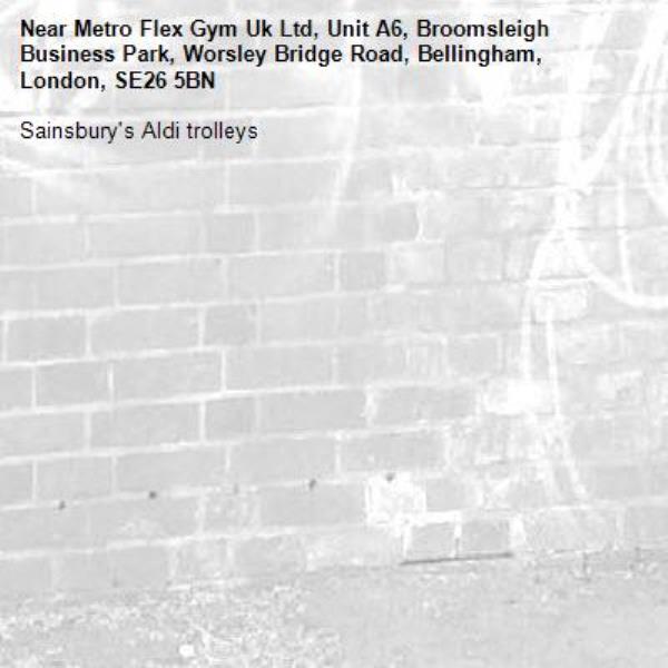 Sainsbury's Aldi trolleys -Metro Flex Gym Uk Ltd, Unit A6, Broomsleigh Business Park, Worsley Bridge Road, Bellingham, London, SE26 5BN