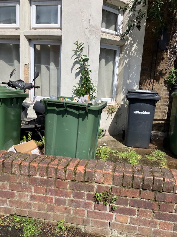 Green bin without lid and full of refuse -2 Hazeldon Road, Crofton Park, London, SE4 2DD