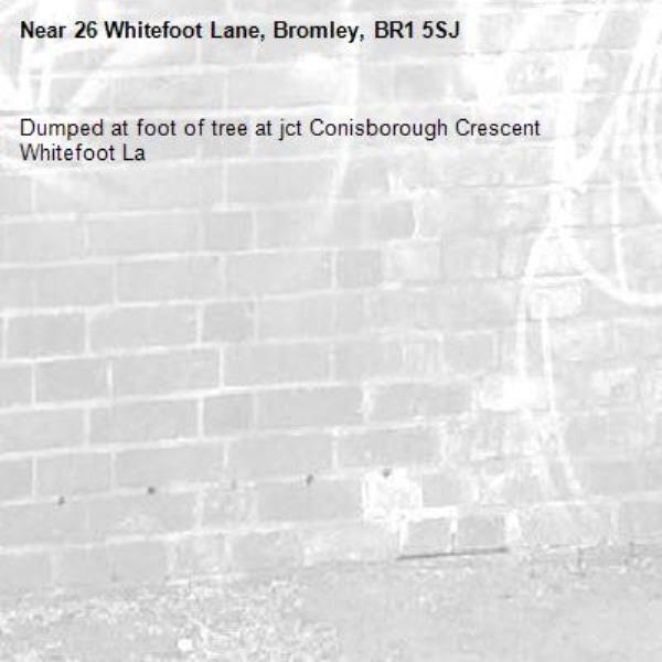 Dumped at foot of tree at jct Conisborough Crescent Whitefoot La-26 Whitefoot Lane, Bromley, BR1 5SJ