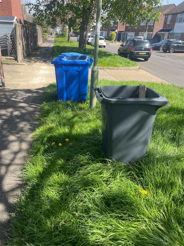 2 wheelie bins with no lids, they have been abandoned on the grass verge for months. Everyone seems to be using them as a dog waste bin and they stink.-46 Cheyne Way, Farnborough, GU14 8RZ