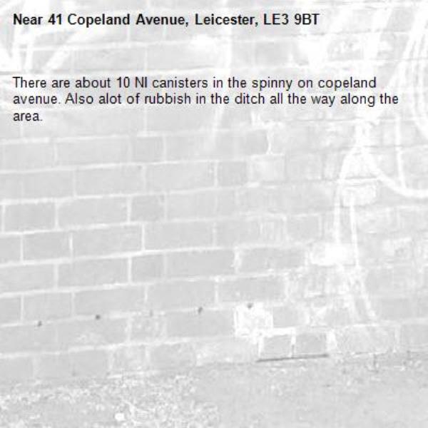 There are about 10 NI canisters in the spinny on copeland avenue. Also alot of rubbish in the ditch all the way along the area.-41 Copeland Avenue, Leicester, LE3 9BT
