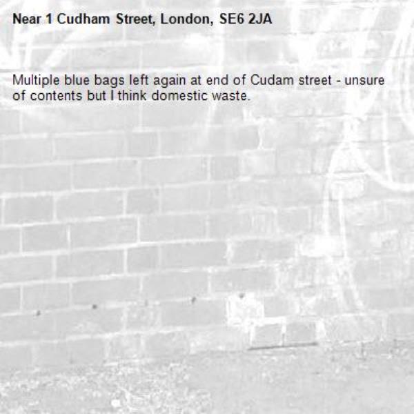 Multiple blue bags left again at end of Cudam street - unsure of contents but I think domestic waste.-1 Cudham Street, London, SE6 2JA