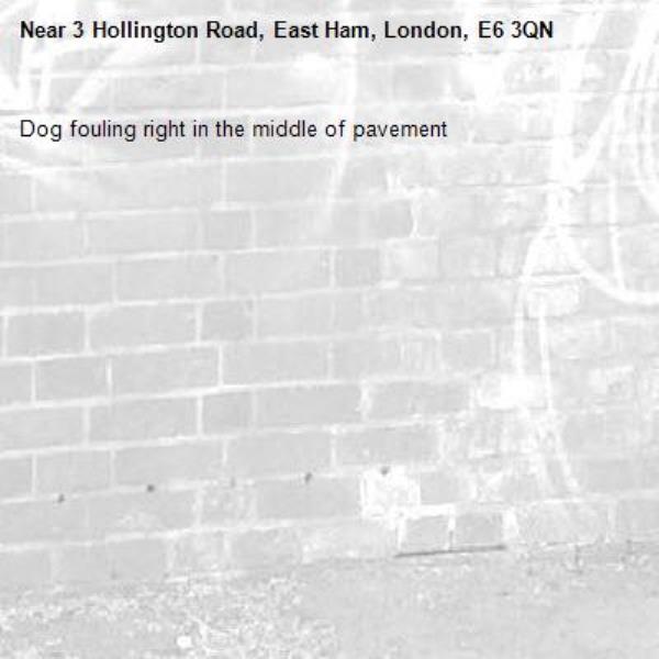 Dog fouling right in the middle of pavement-3 Hollington Road, East Ham, London, E6 3QN
