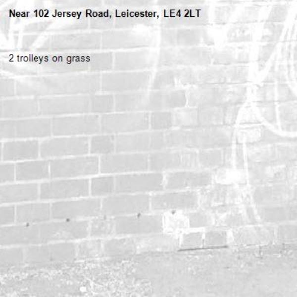 2 trolleys on grass-102 Jersey Road, Leicester, LE4 2LT