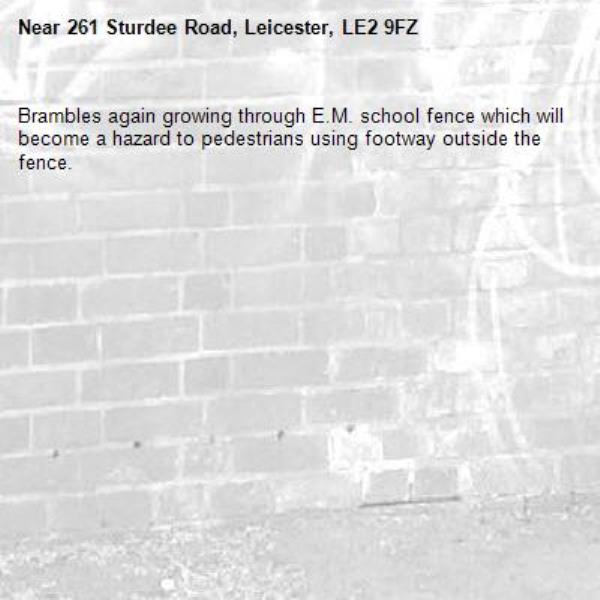 Brambles again growing through E.M. school fence which will become a hazard to pedestrians using footway outside the fence.-261 Sturdee Road, Leicester, LE2 9FZ
