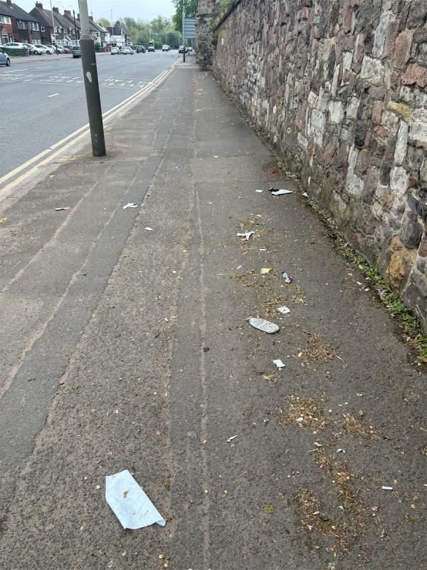 Litter all along the footpath next to Abbey Park. People lazy about bins provided. -111 Abbey Park Road, Leicester, LE4 5AP