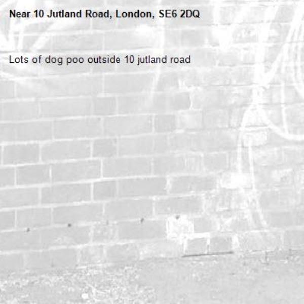 Lots of dog poo outside 10 jutland road-10 Jutland Road, London, SE6 2DQ