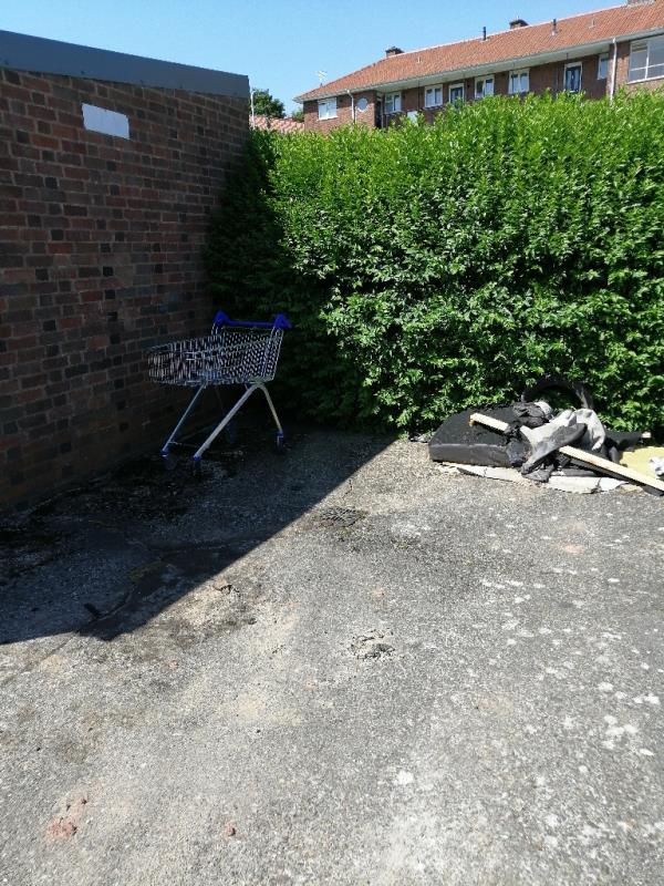Shopping trolley and bits of rubbish dumped -55 Merridale Ct, Wolverhampton WV3 0UW, UK