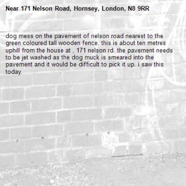 dog mess on the pavement of nelson road nearest to the green coloured tall wooden fence. this is about ten metres uphill from the house at , 171 nelson rd. the pavement needs to be jet washed as the dog muck is smeared into the pavement and it would be difficult to pick it up. i saw this today. -171 Nelson Road, Hornsey, London, N8 9RR