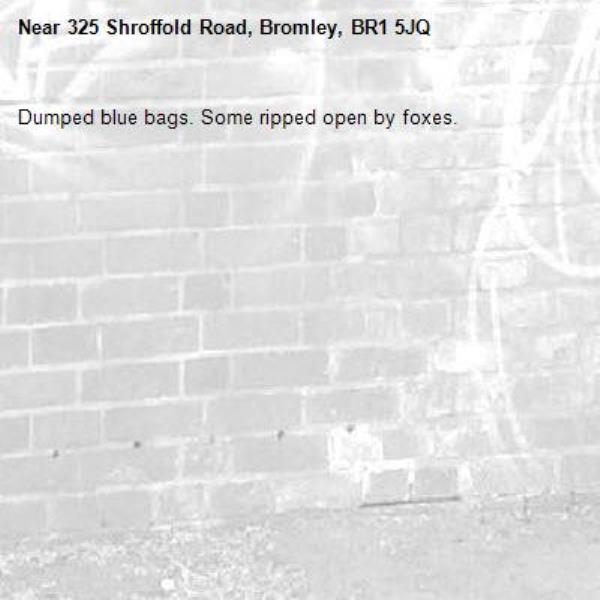 Dumped blue bags. Some ripped open by foxes.-325 Shroffold Road, Bromley, BR1 5JQ