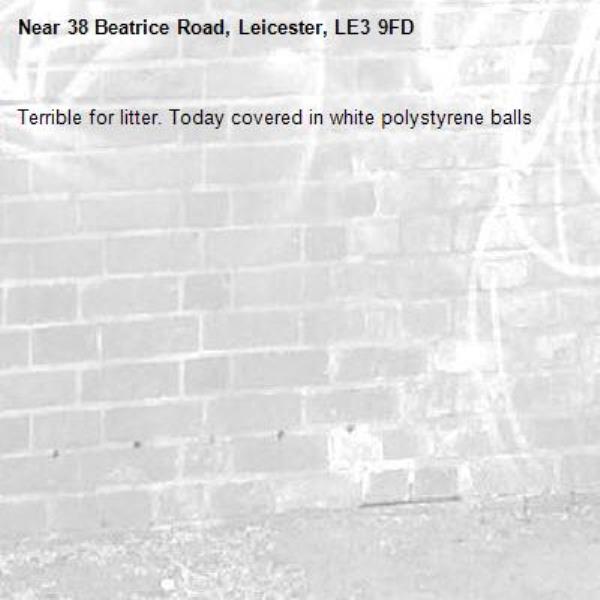Terrible for litter. Today covered in white polystyrene balls  -38 Beatrice Road, Leicester, LE3 9FD