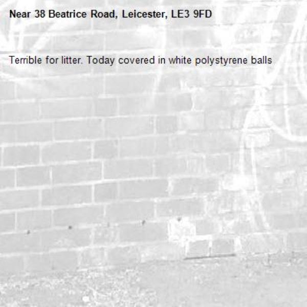 Terrible for litter. Today covered in white polystyrene balls  -38 Beatrice Road, Leicester, LE3 9FD