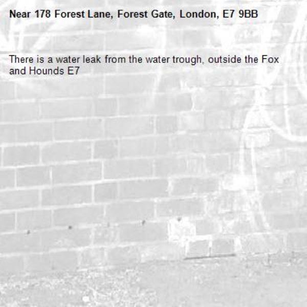 There is a water leak from the water trough, outside the Fox and Hounds E7 -178 Forest Lane, Forest Gate, London, E7 9BB