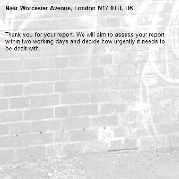 Thank you for your report. We will aim to assess your report within two working days and decide how urgently it needs to be dealt with.-Worcester Avenue, London N17 0TU, UK