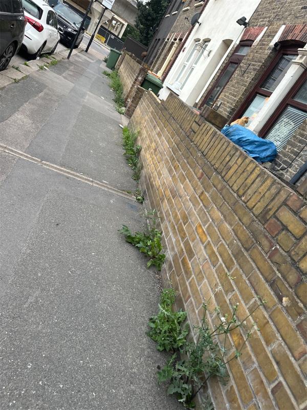 Boxley street is covered in weeds that need to be removed -10 Boxley Street, Silvertown, London, E16 2AN