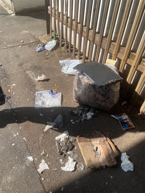 Fly tipping and litter thanks -16 Cranmer Road, Forest Gate, London, E7 0JW