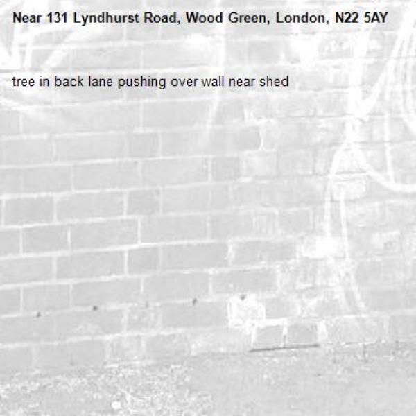 tree in back lane pushing over wall near shed-131 Lyndhurst Road, Wood Green, London, N22 5AY