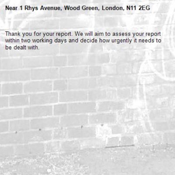 Thank you for your report. We will aim to assess your report within two working days and decide how urgently it needs to be dealt with.-1 Rhys Avenue, Wood Green, London, N11 2EG