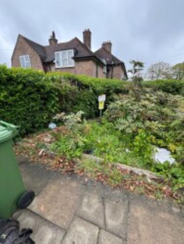 The small green space opposite the gp practice collects a lot of fly tipping and its not maintained at all
-184 Shroffold Road, Bromley, BR1 5NJ