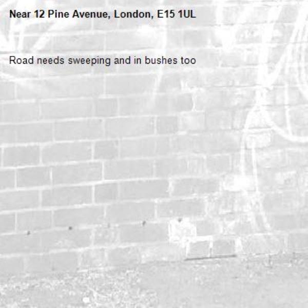 Road needs sweeping and in bushes too-12 Pine Avenue, London, E15 1UL